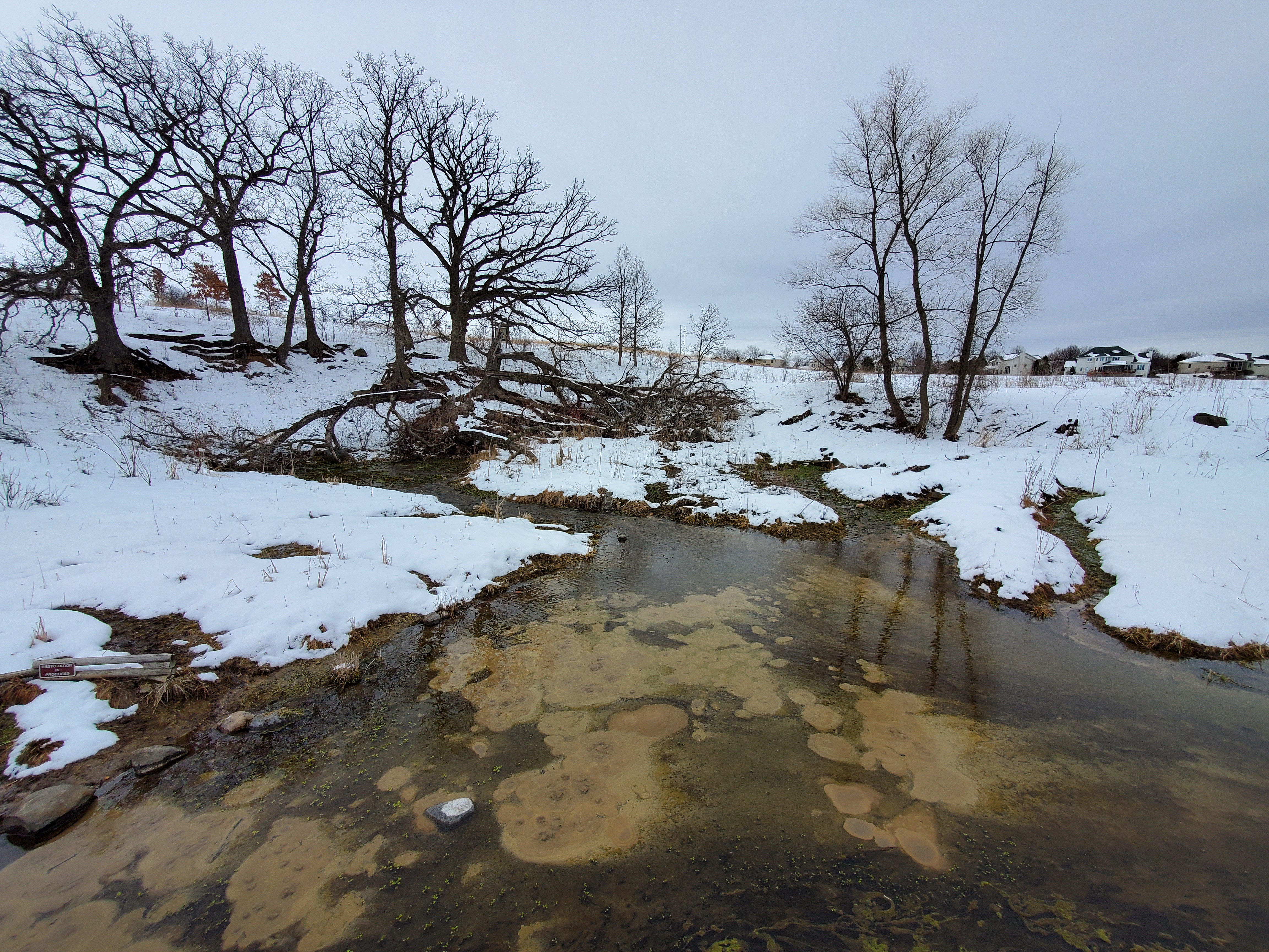 In the foreground are the clear waters of the natural springs, with the sandy bottom visible. In the background is the snow-covered, sloped shoreline with tall oak trees with bare branches. The sky is white and gray with clouds.