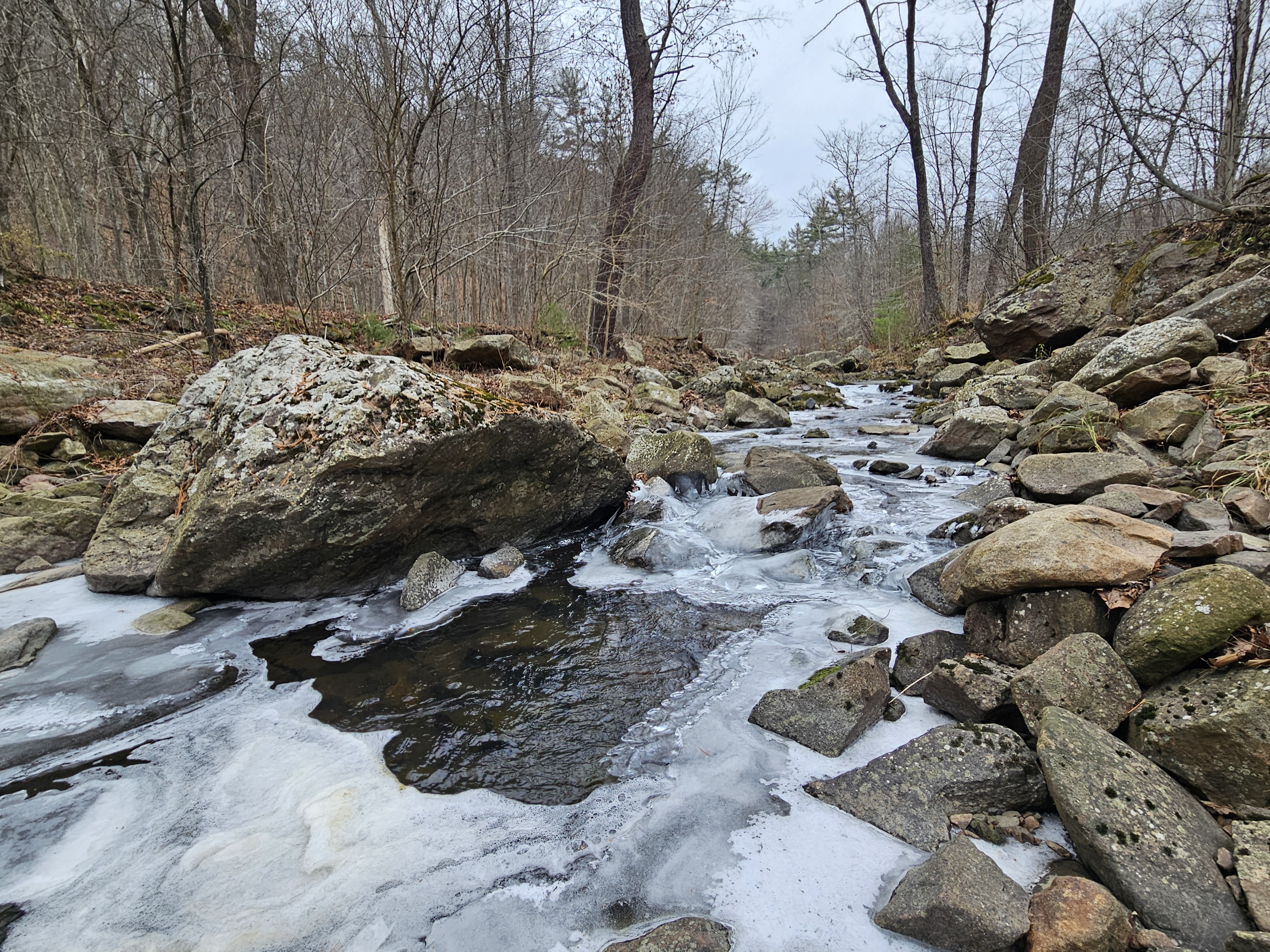 Thin layers of ice cover parts of a stream that flows between rock and boulder-strewn banks, with a forest of bare trees visible along the banks.