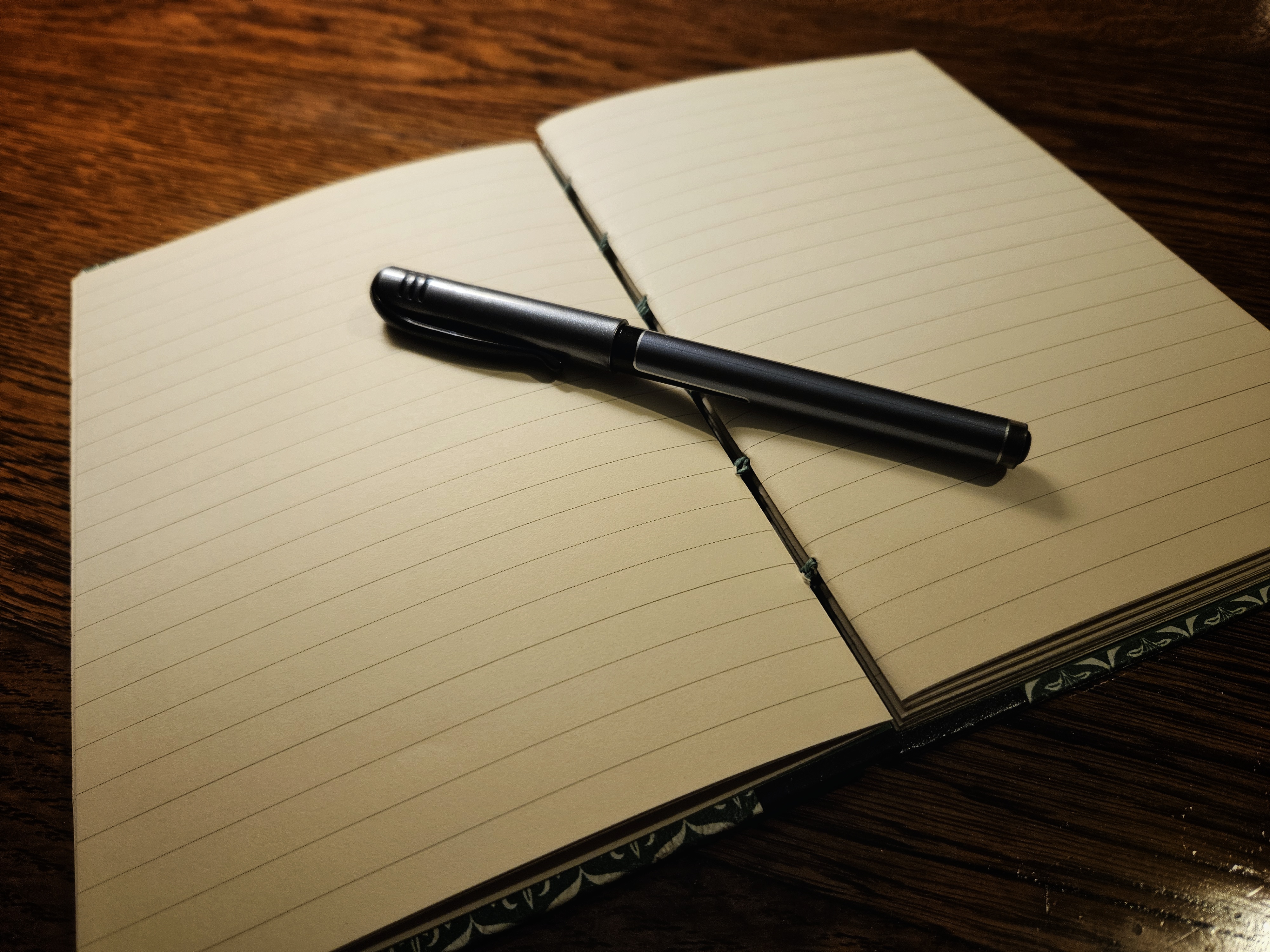 A journal lies open on a table. The pages are lined and blank. A pen lies across the pages.