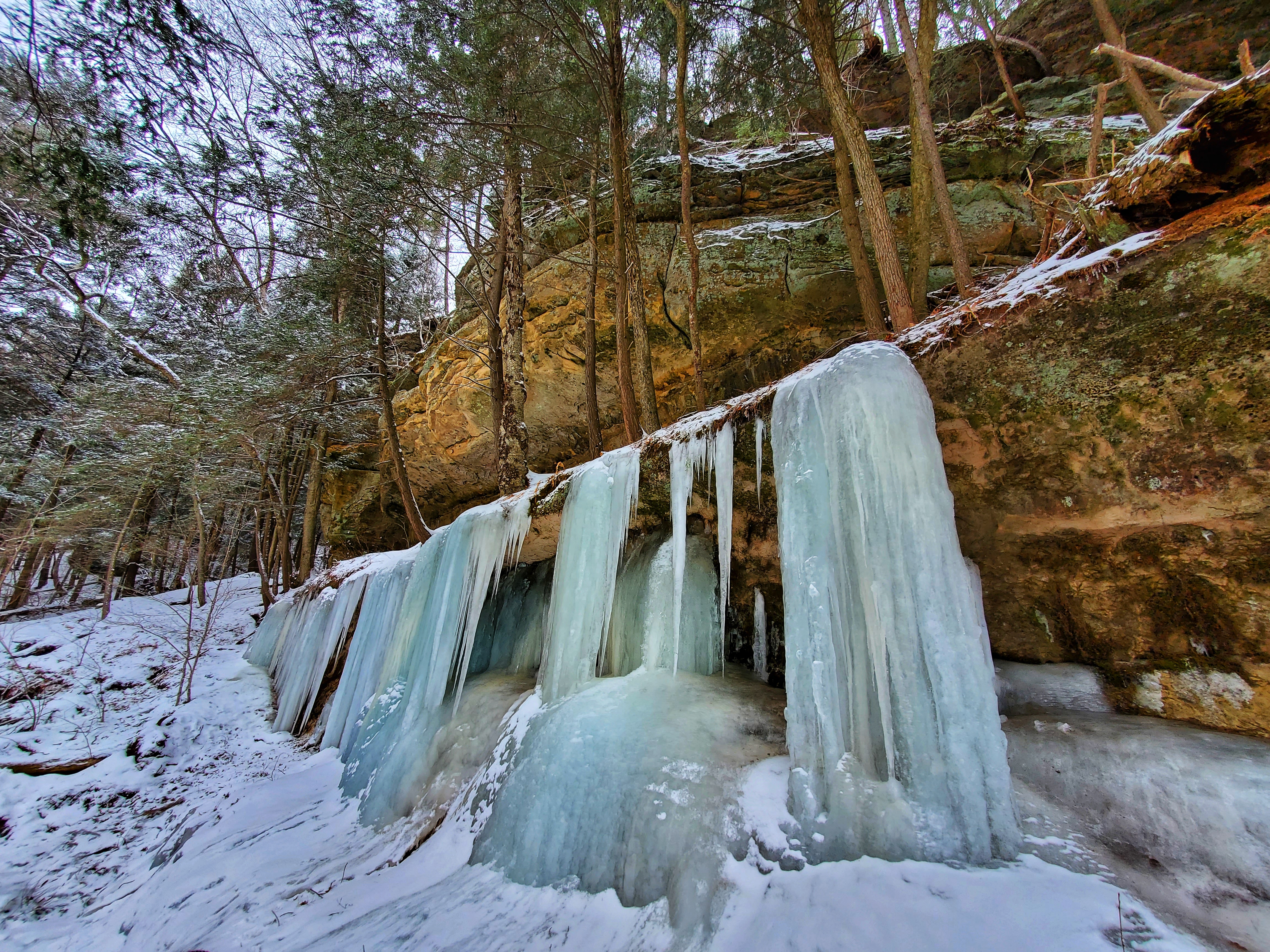 Dramatic ice formations cascade down the side of a limestone bluff, with tall pine trees perched precariously along the ledge at the top. Snow covers the grounw underneath.