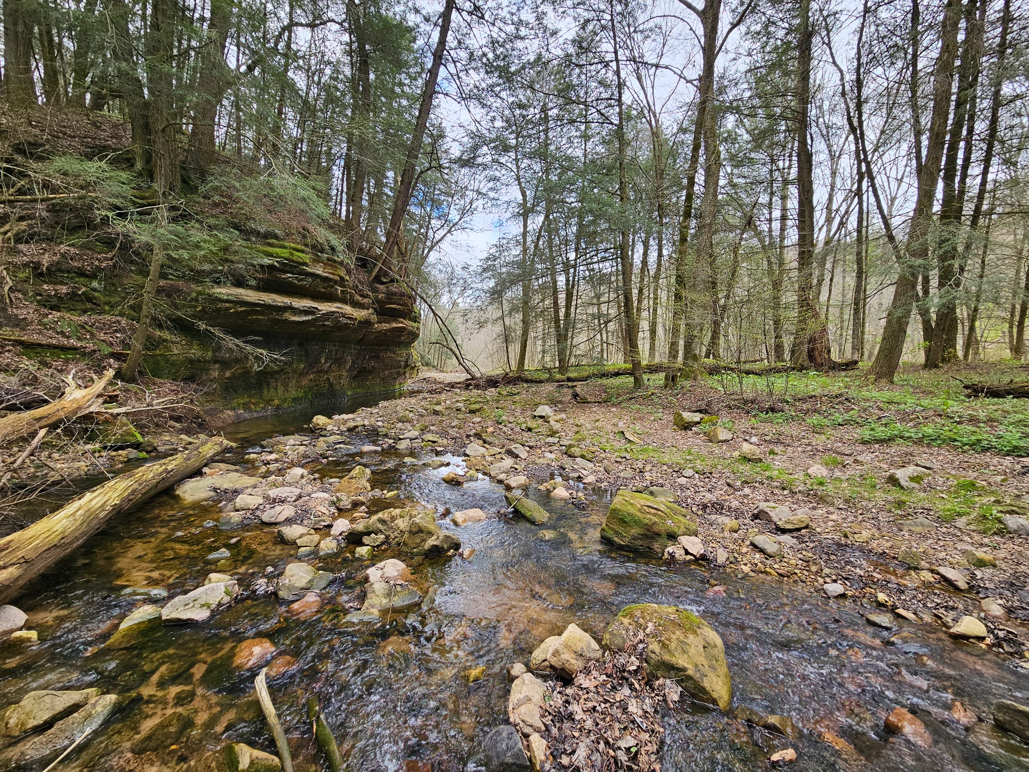 A clear stream flows between rocks and tree branches, with a rocky overhang along the left bank and an open woodland with tall trees along the right.